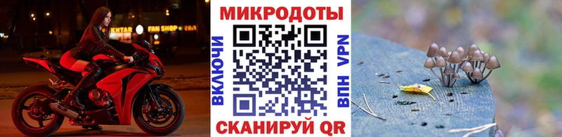 Галлюциногенные грибы мицелий  kraken вход  Афипский 